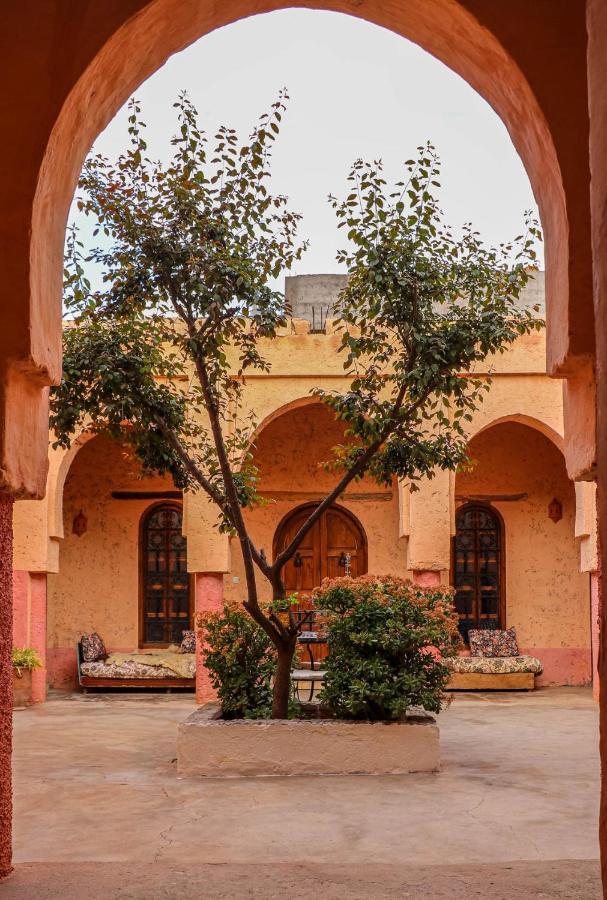 Riad Diwane ويرڭان المظهر الخارجي الصورة