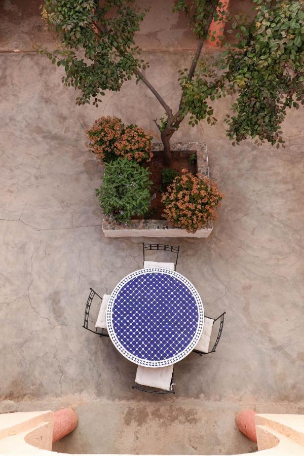 Riad Diwane ويرڭان المظهر الخارجي الصورة