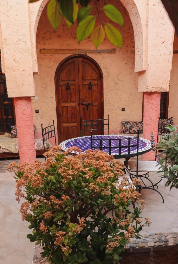 Riad Diwane ويرڭان المظهر الخارجي الصورة